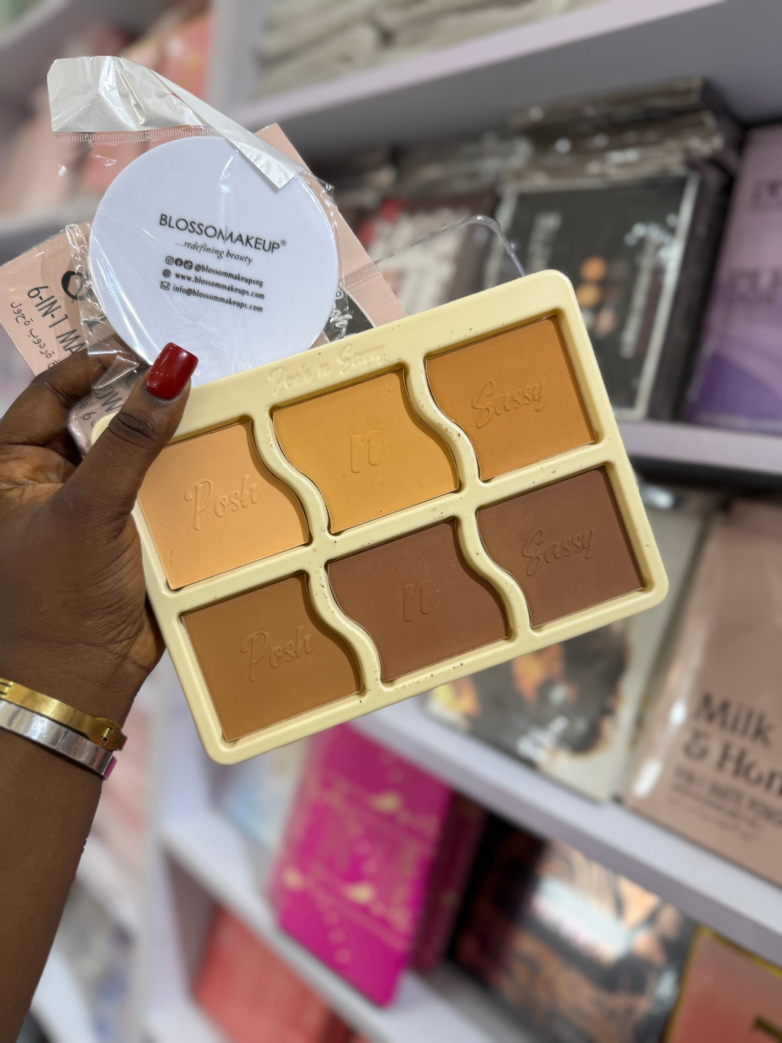 Posh and sassy 6 in 1 powder pallet 