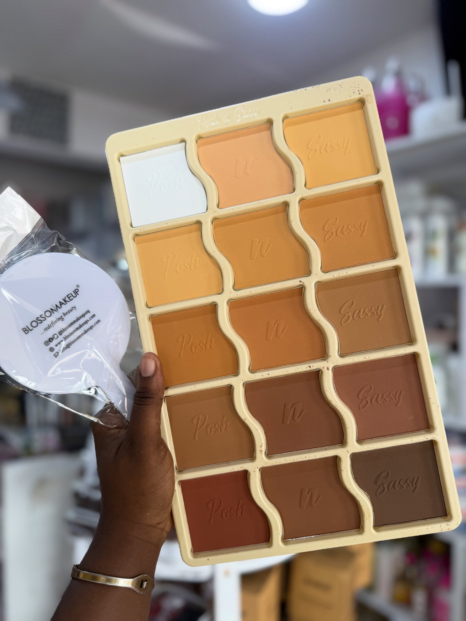 Posh and sassy powder pallet big 