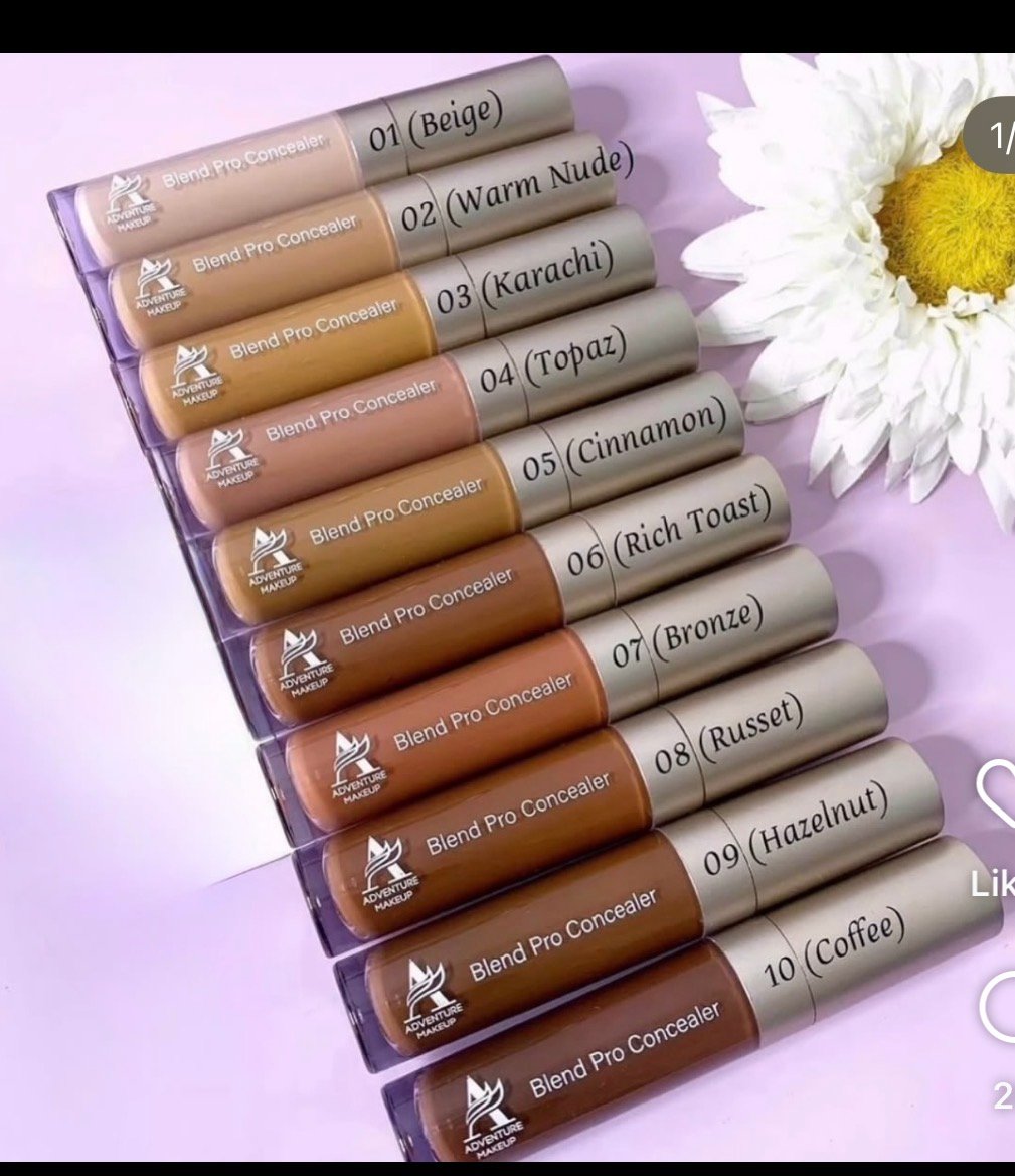 Adeventure concealers 