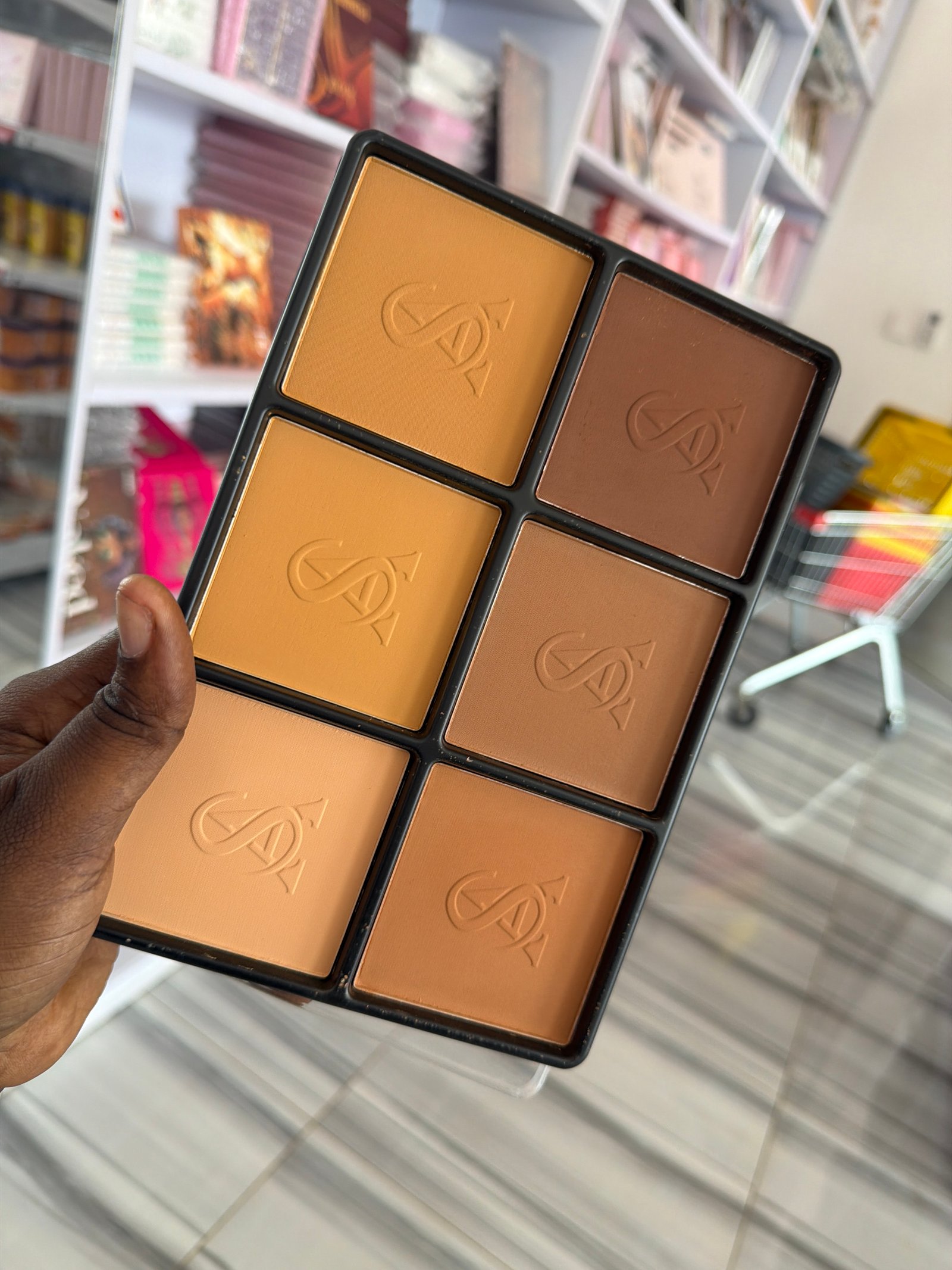 Artskin powder pallet 6 in 1 