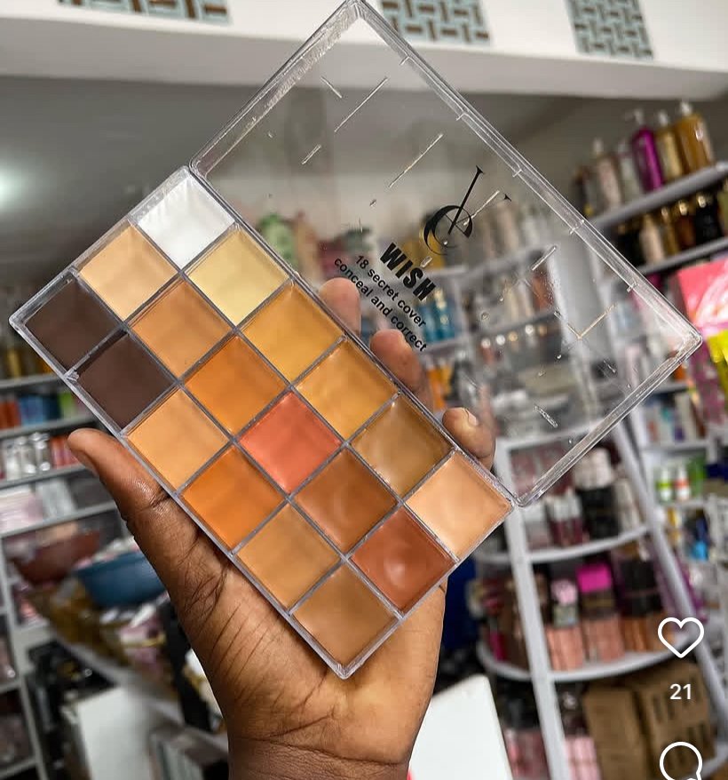 Vee concealer pallet 