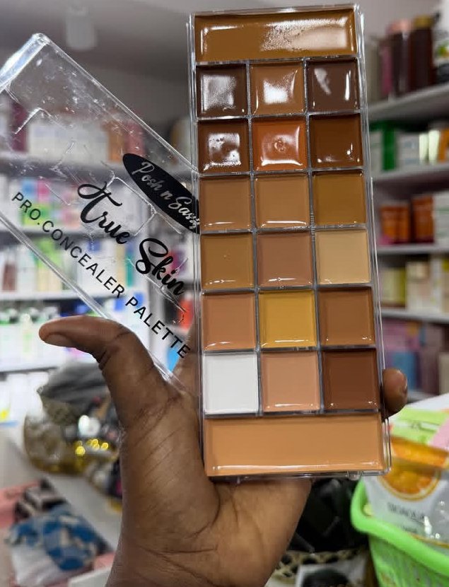 Posh n sassy concealer pallet 