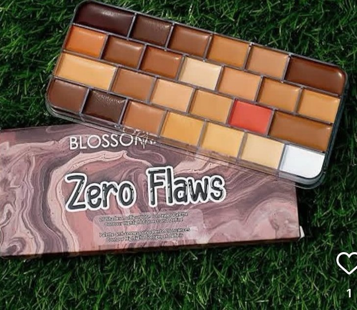 Blossom zero flaws concealer pallet 